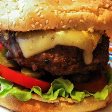 The not so veggie burger website