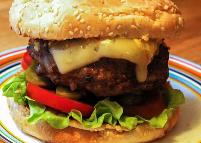 the not so veggie burger WEBSITE