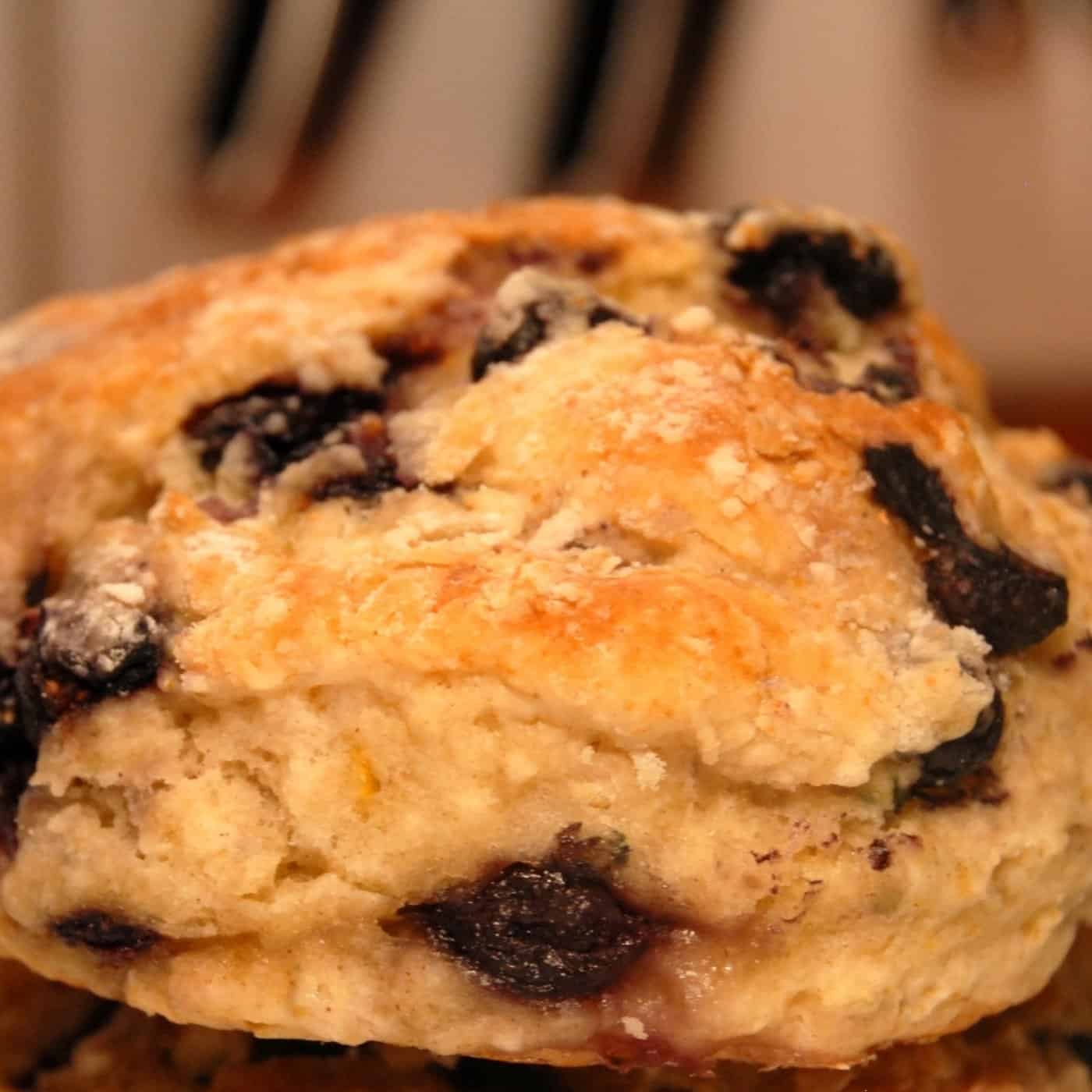 Blueberry Biscuit