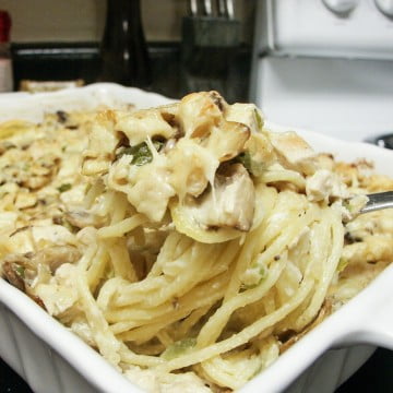 Chicken Tetrazzini Casserole with creamy spagheti noodles
