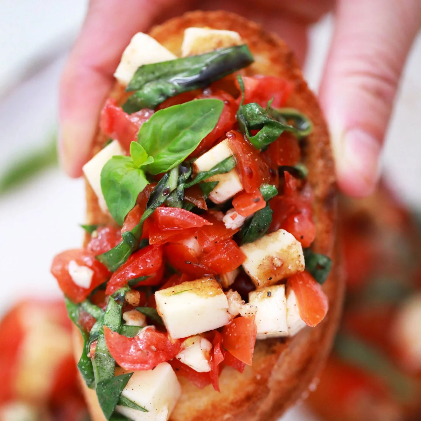 bruschetta with mozzarella 3