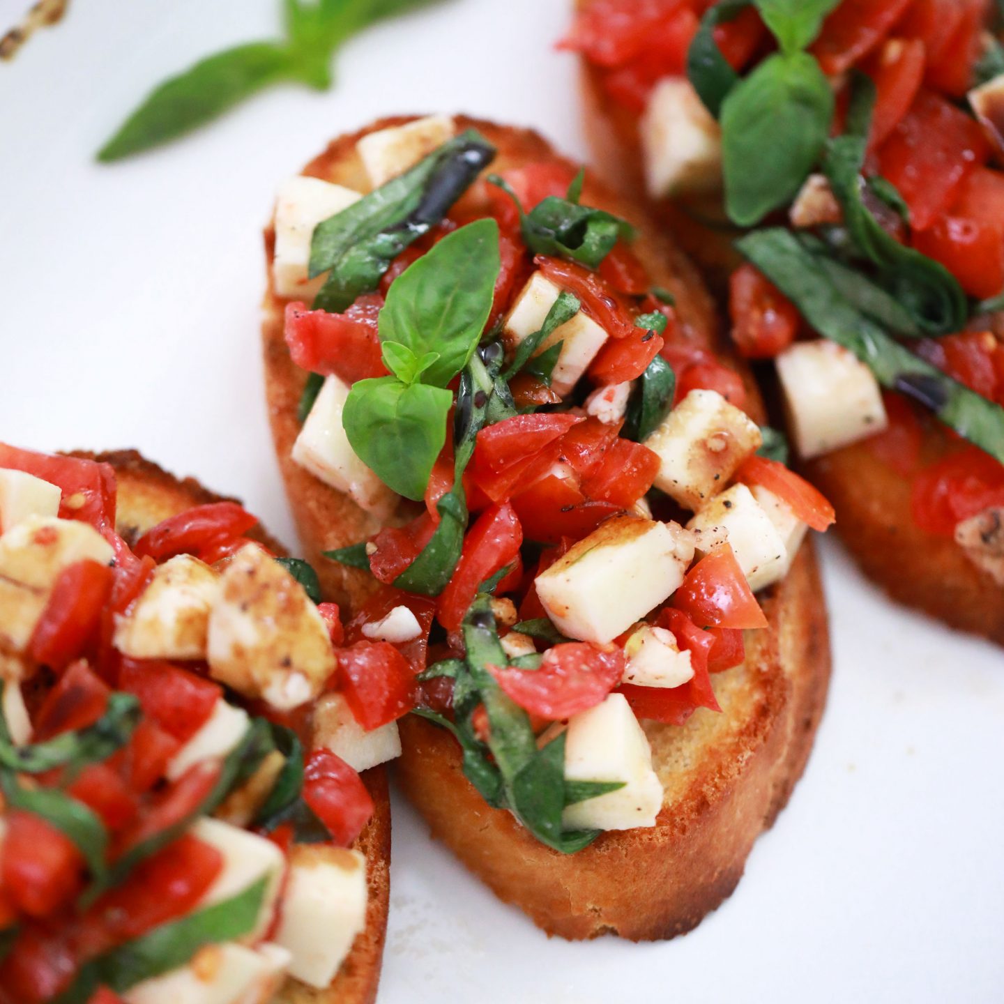 Bruschetta with mozzarella featured