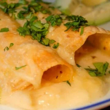 cropped-sour-cream-chicken-enchiladas.jpg