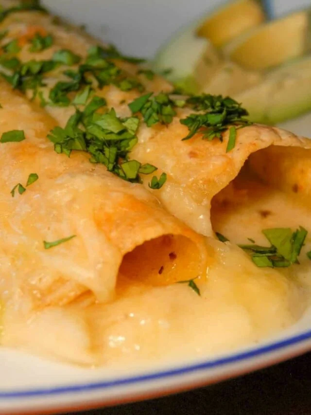 Sour Cream Chicken Enchiladas