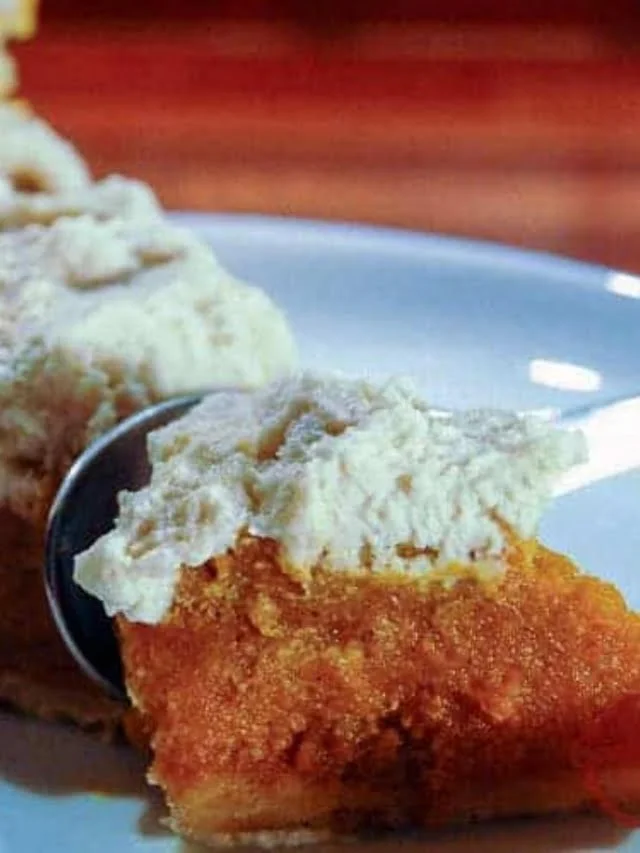 Thanksgiving Canned Pumpkin Pie