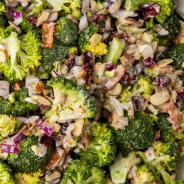 cropped-broccoli-salad-Featured-Image-3-1.jpg