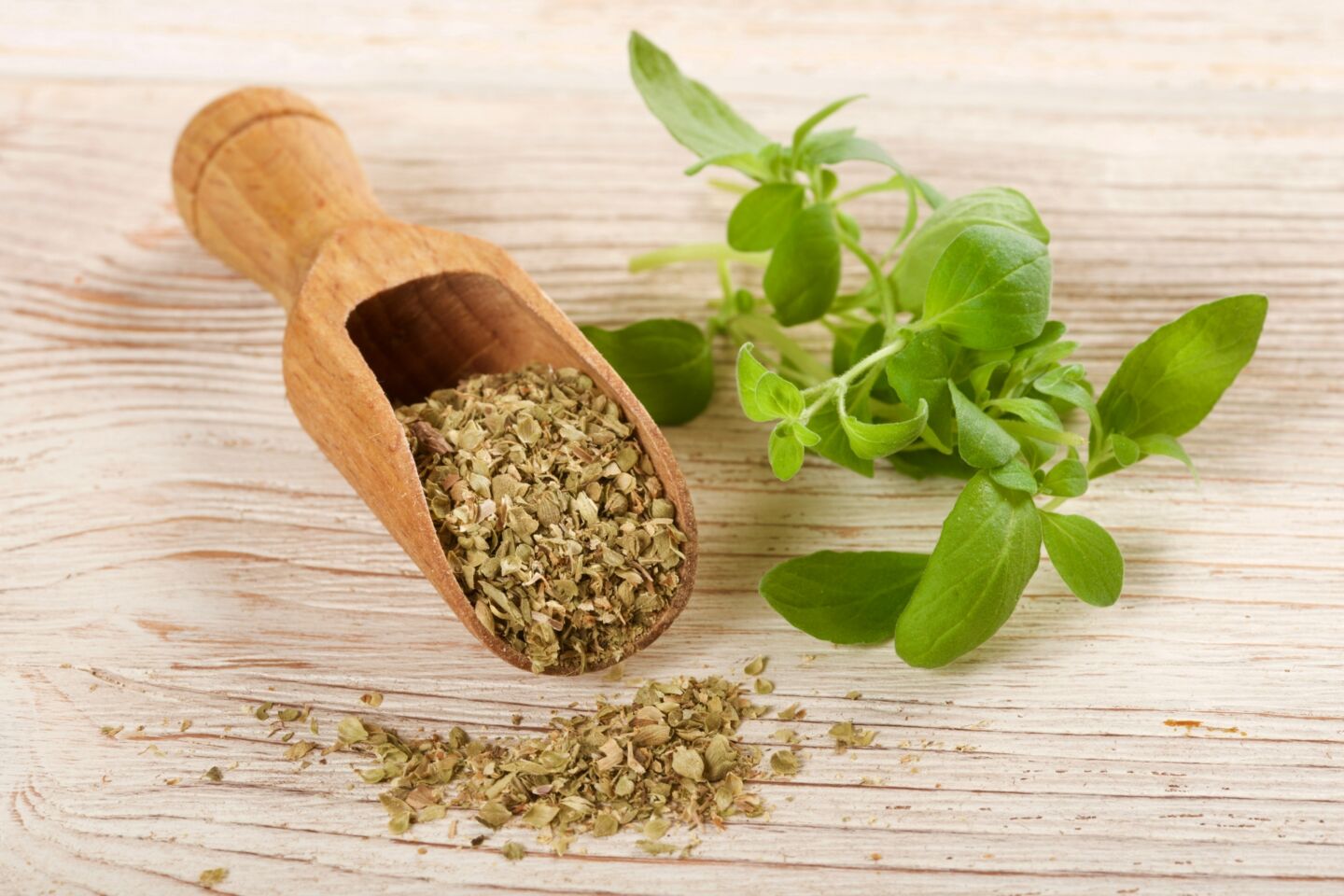 10 southern seasonings - oregano