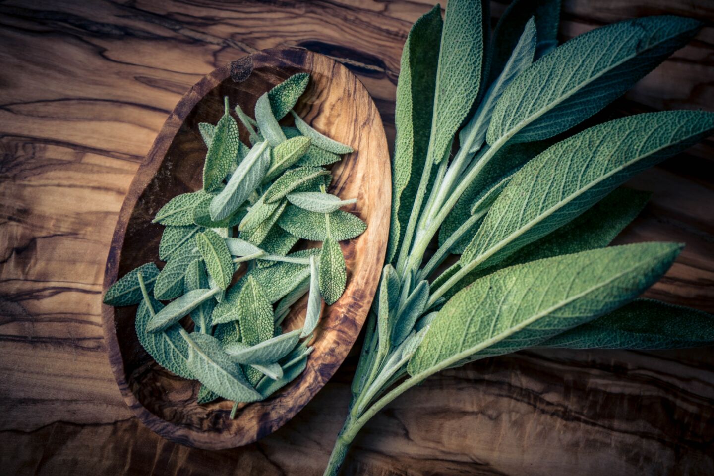 10 southern seasonings - sage