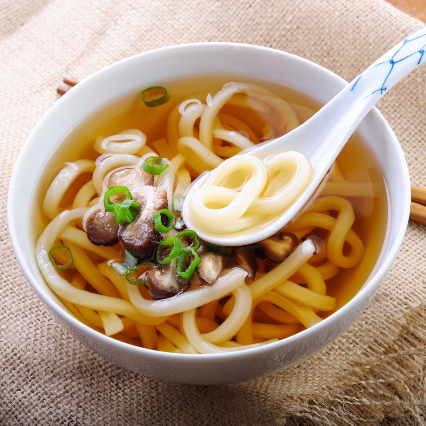 32 Different Types of Pasta - Udon pasta