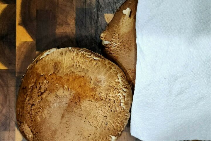 Stuffed Portobello Mushrooms (Easy 30-Minute Meal!) - Comfortable Food