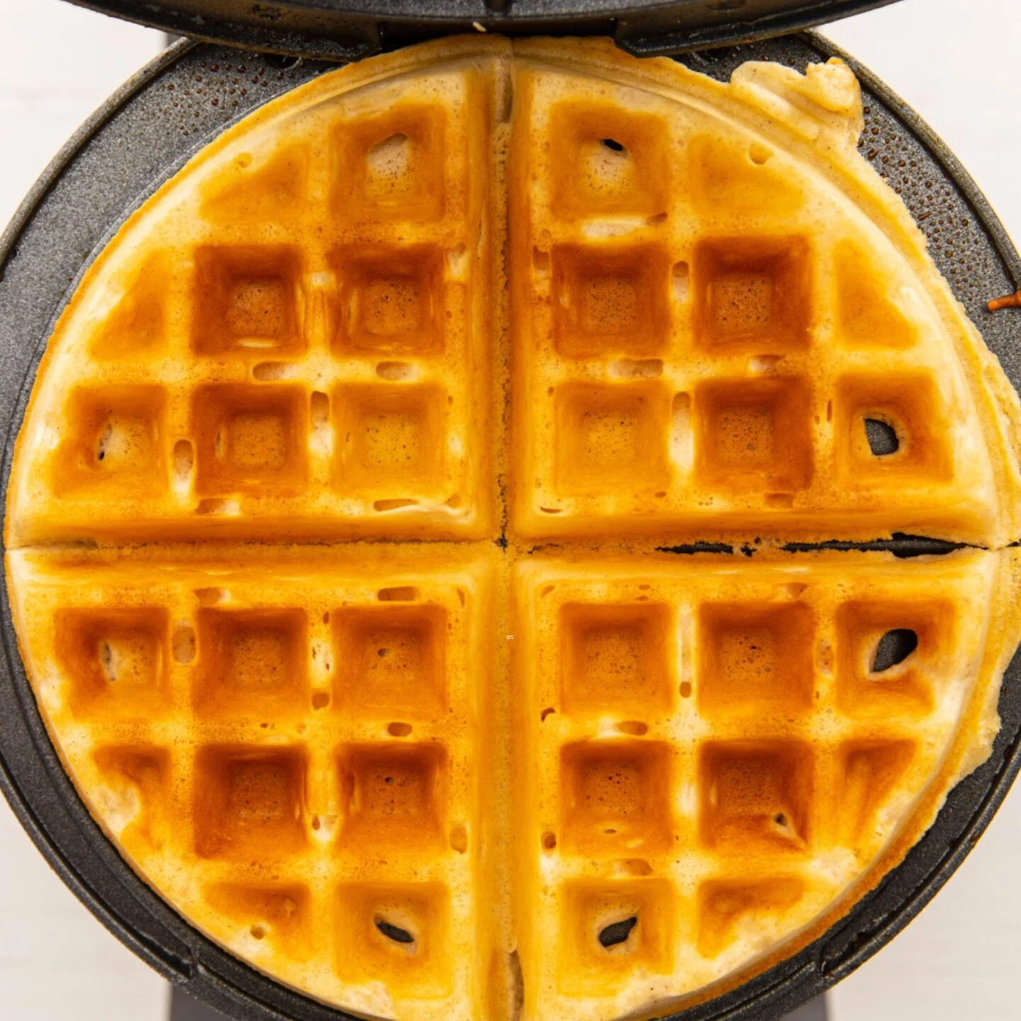 featured belgium waffles