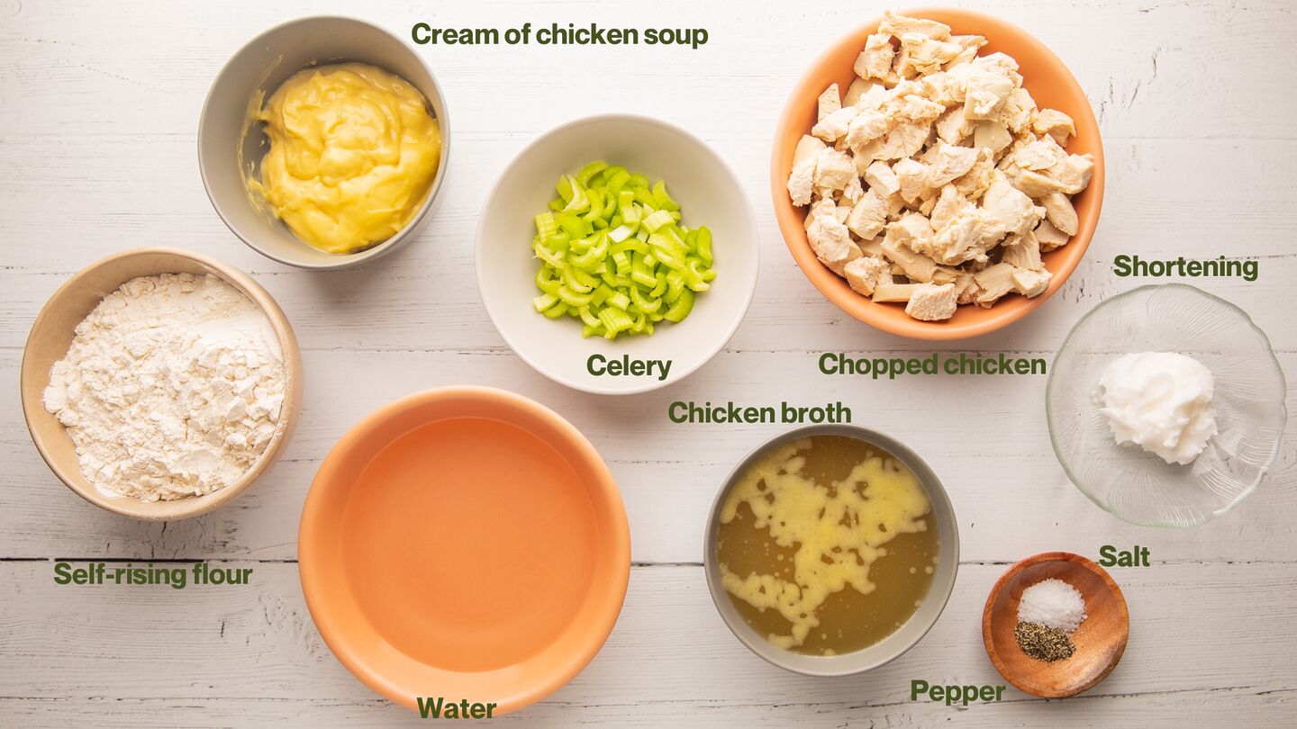 chicken and dumplings - ingredients2