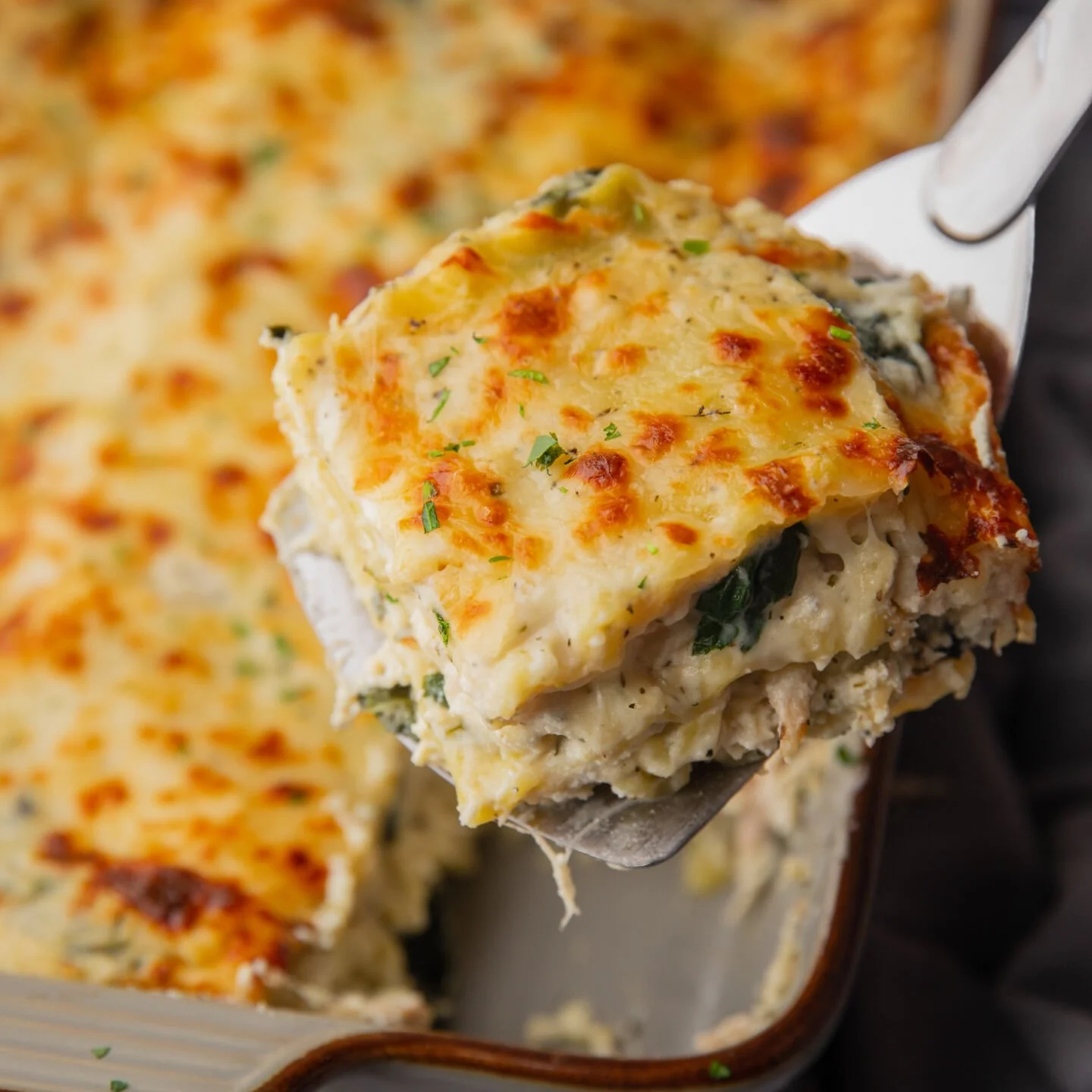 white chicken lasagna - featured