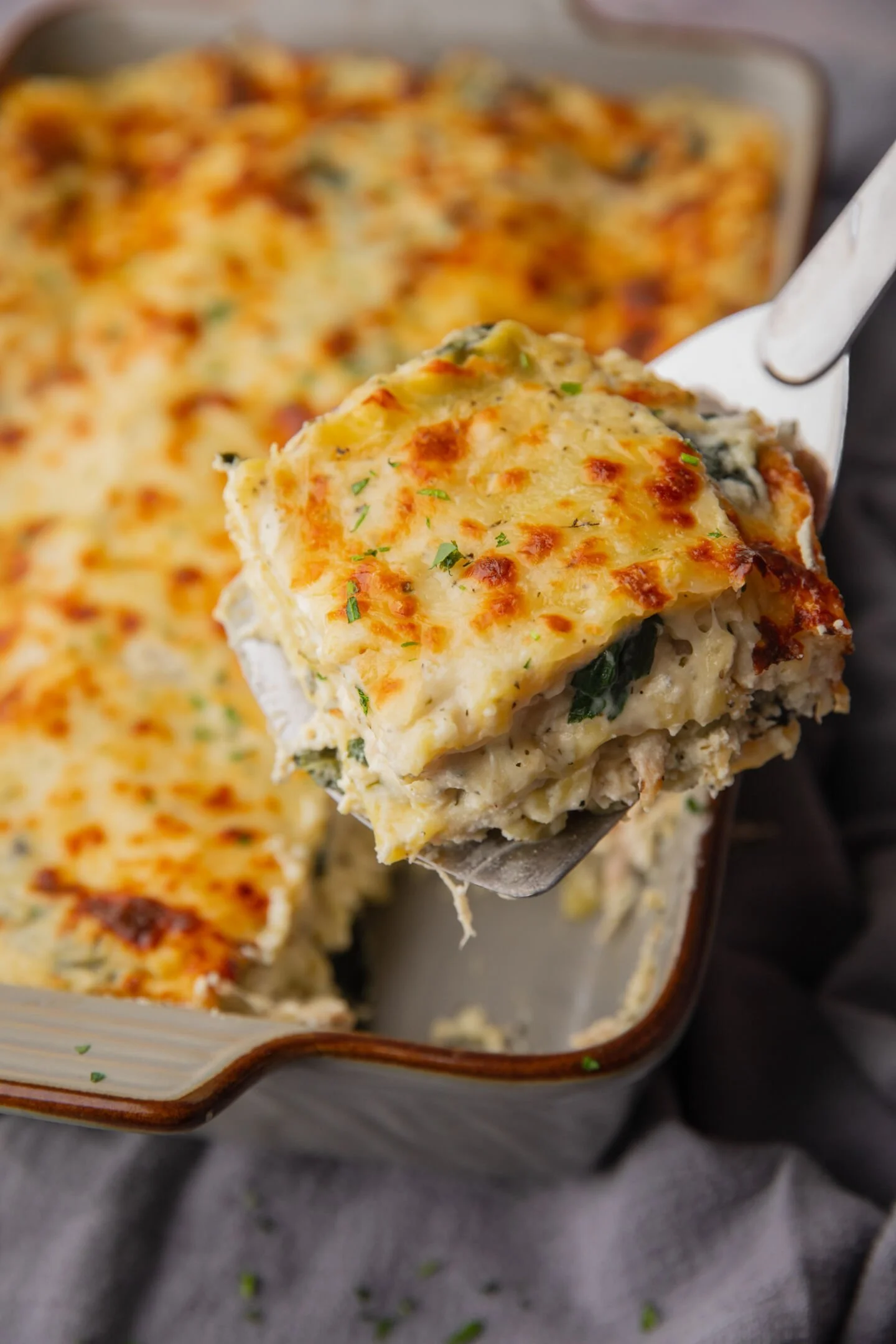 sliced white chicken lasagna